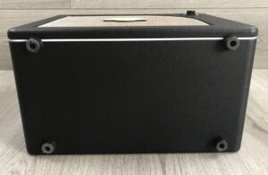 Mooer Hornet 30i