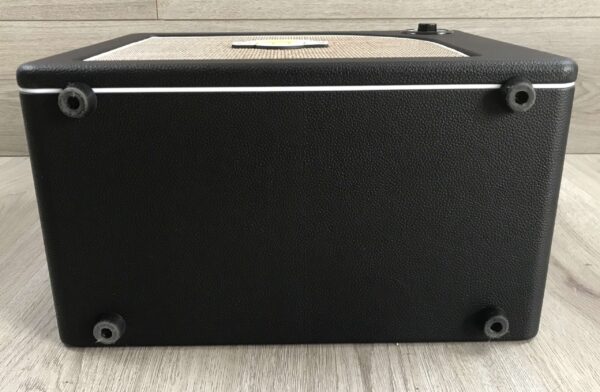 Mooer Hornet 30i