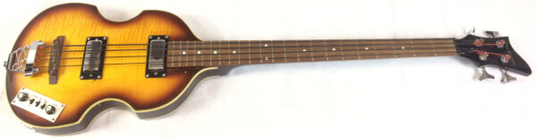 Parkson Violin Bass