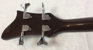 Parkson Violin Bass