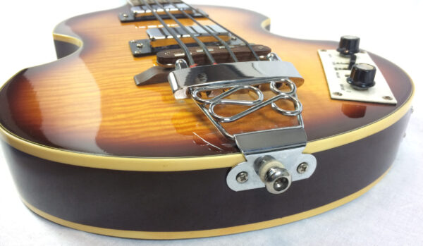 Parkson Violin Bass