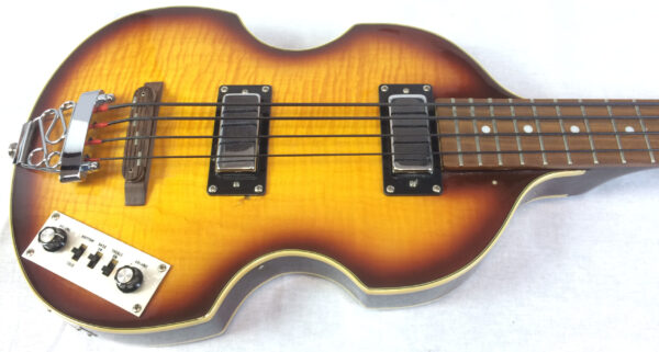 Parkson Violin Bass