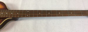 Parkson Violin Bass
