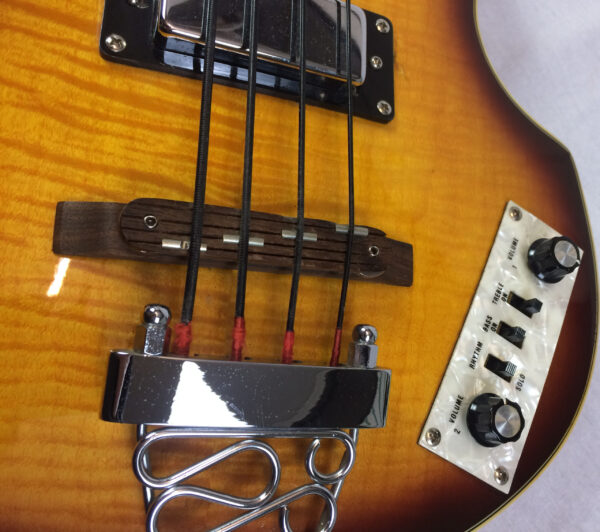 Parkson Violin Bass