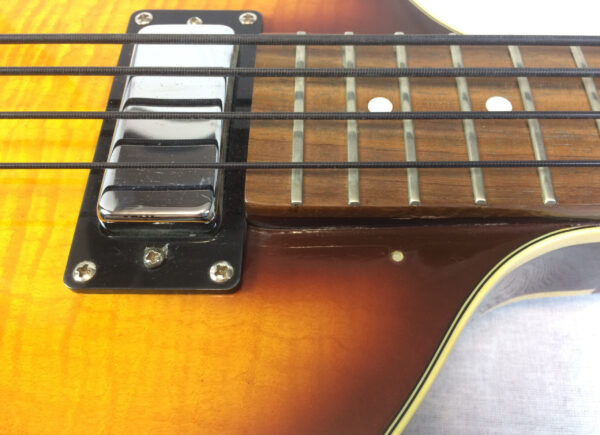 Parkson Violin Bass