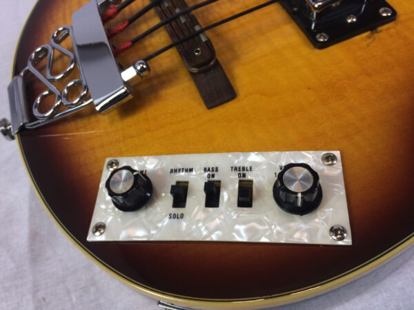 Parkson Violin Bass