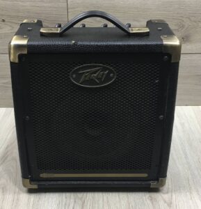 Peavey Ecoustic e20