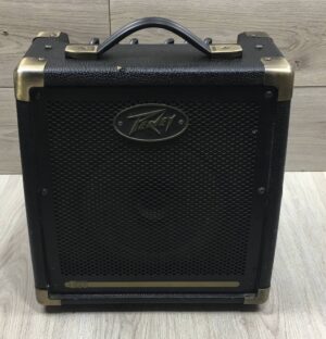 Peavey Ecoustic e20