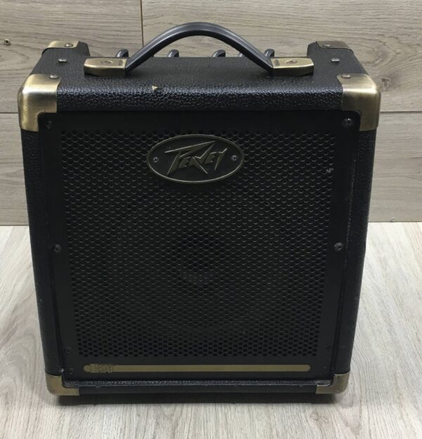 Peavey Ecoustic e20