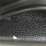Peavey Ecoustic e20