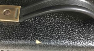 Peavey Ecoustic  e20
