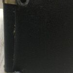 Peavey Ecoustic e20