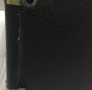 Peavey Ecoustic  e20