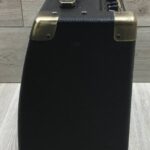 Peavey Ecoustic e20