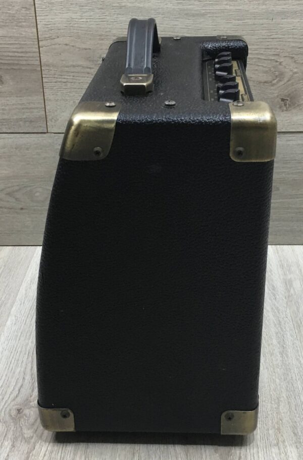 Peavey Ecoustic e20