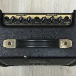 Peavey Ecoustic e20