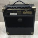 Peavey Ecoustic e20