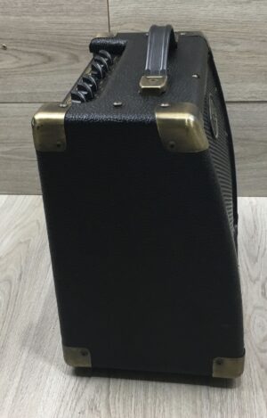 Peavey Ecoustic  e20