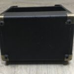 Peavey Ecoustic e20