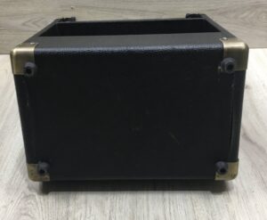 Peavey Ecoustic  e20