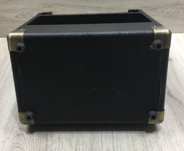 Peavey Ecoustic e20