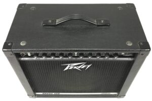 Peavey Envoy 110 Transtube