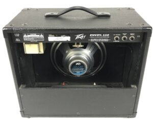 Peavey Envoy 110 Transtube