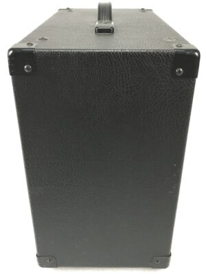 Peavey Envoy 110 Transtube