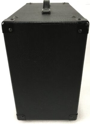 Peavey Envoy 110 Transtube