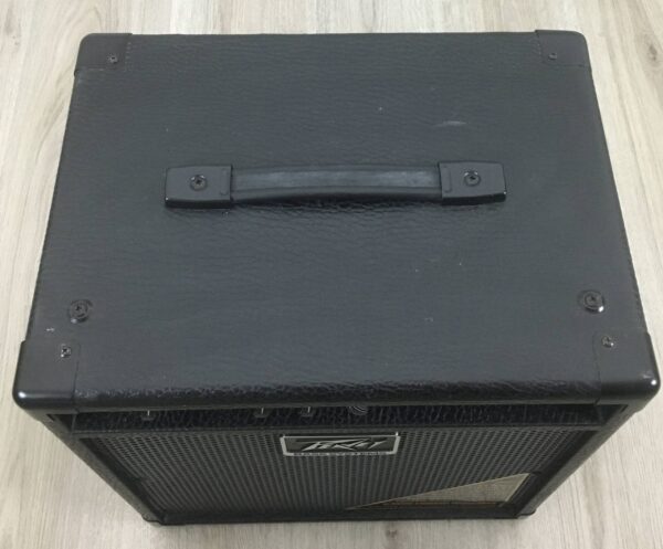 Peavey MAX 110 MKI