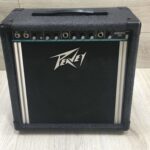 Peavy Audition 110