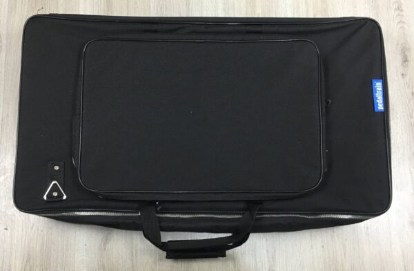 Pedaltrain Classic PRO