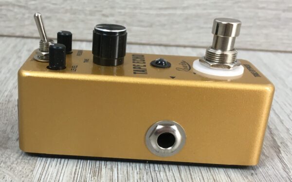Rowin Tape Echo
