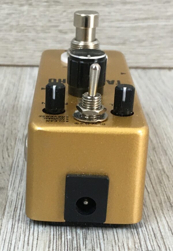 Rowin Tape Echo