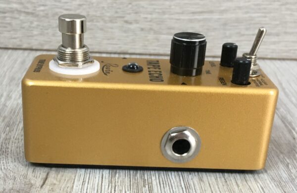 Rowin Tape Echo