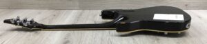Schecter C-1 E/A