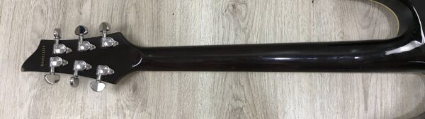 Schecter C-1 E/A