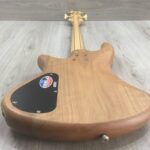 Schecter Stiletto Custom
