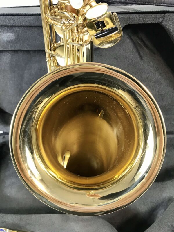 Selmer Serie III Tenore Con imboccatura serial  554883