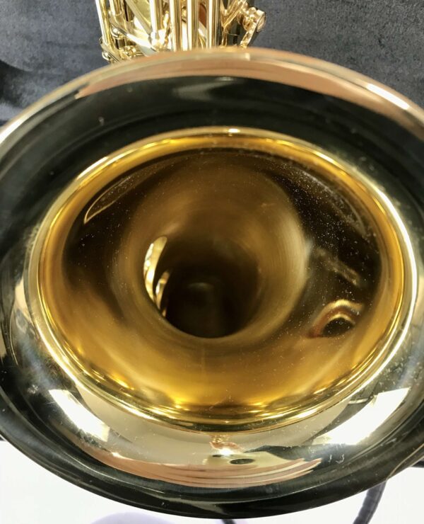 Selmer Serie III Tenore Con imboccatura serial  554883