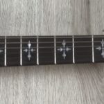 Shecter Demon 6 ABSN