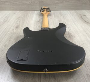Shecter Demon 6 ABSN