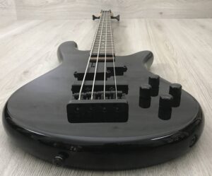 Spector Performer 4 bk