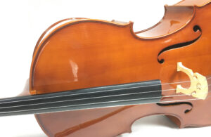 Stagg VNC 4/4 Violoncello con custodia