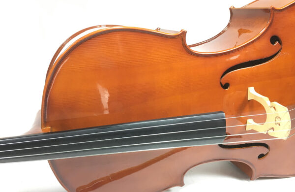 Stagg VNC 4/4 Violoncello con custodia