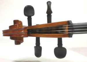 Stagg VNC 4/4 Violoncello con custodia