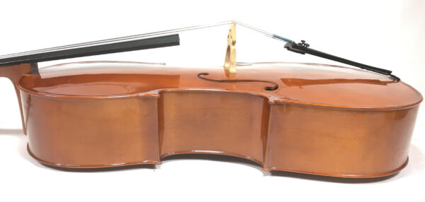 Stagg VNC 4/4 Violoncello con custodia