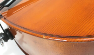 Stagg VNC 4/4 Violoncello con custodia