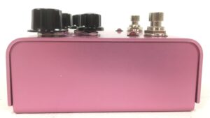 Strymon DIG Dual Digital Delay