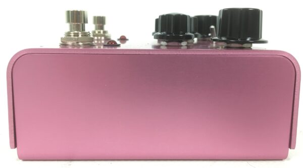 Strymon DIG Dual Digital Delay